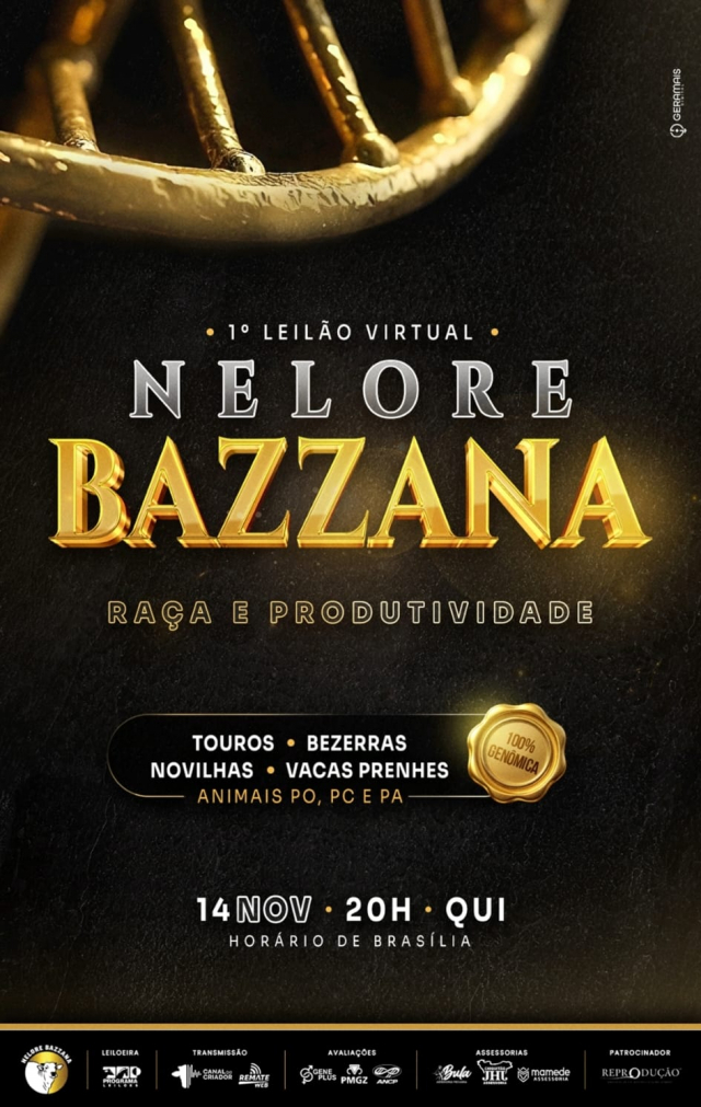 1° Leilão Virtual Nelore Bazzana