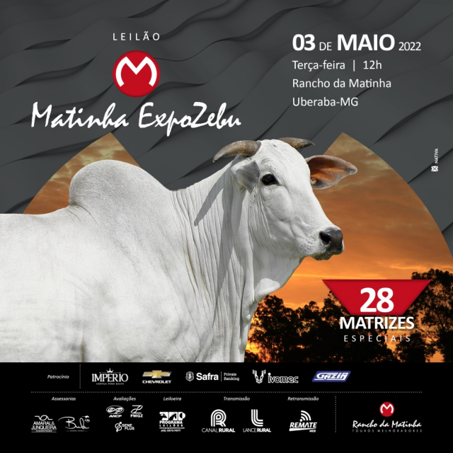 Leilão Matinha Expozebu 2022