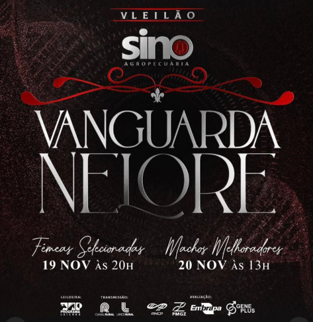 V Leilão Sino Agropecuária Vanguarda Nelore - Machos Melhoradores