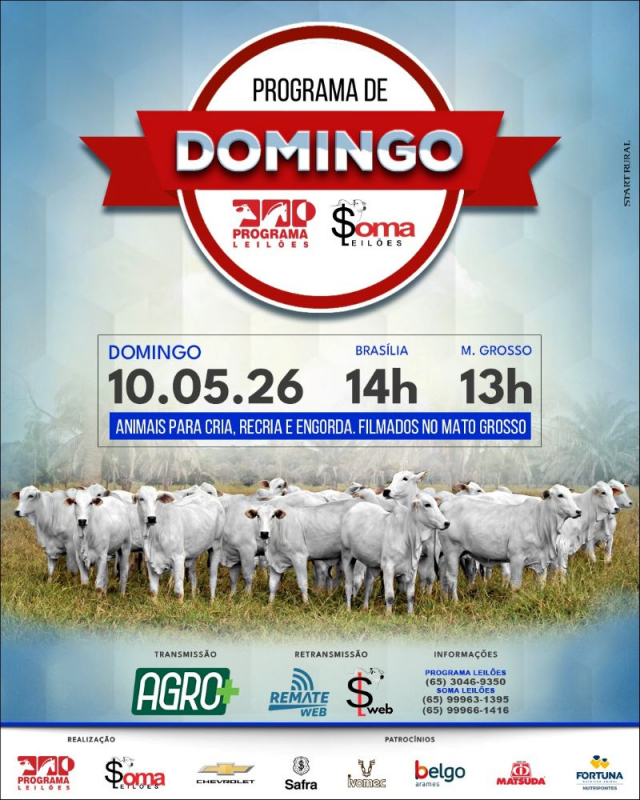 151° Programa de Domingo - Programa e Soma Leilões