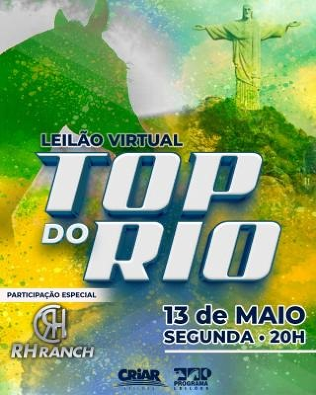 Leilão Virtual Top do Rio