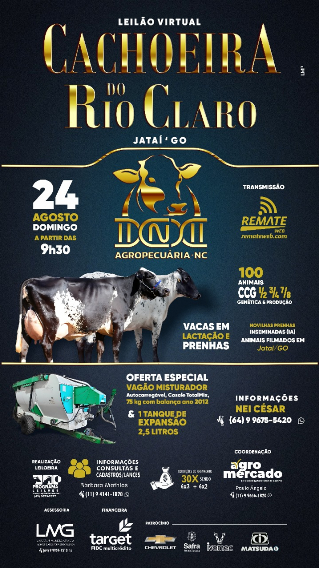 Leilão Virtual Cachoeira do Rio Claro