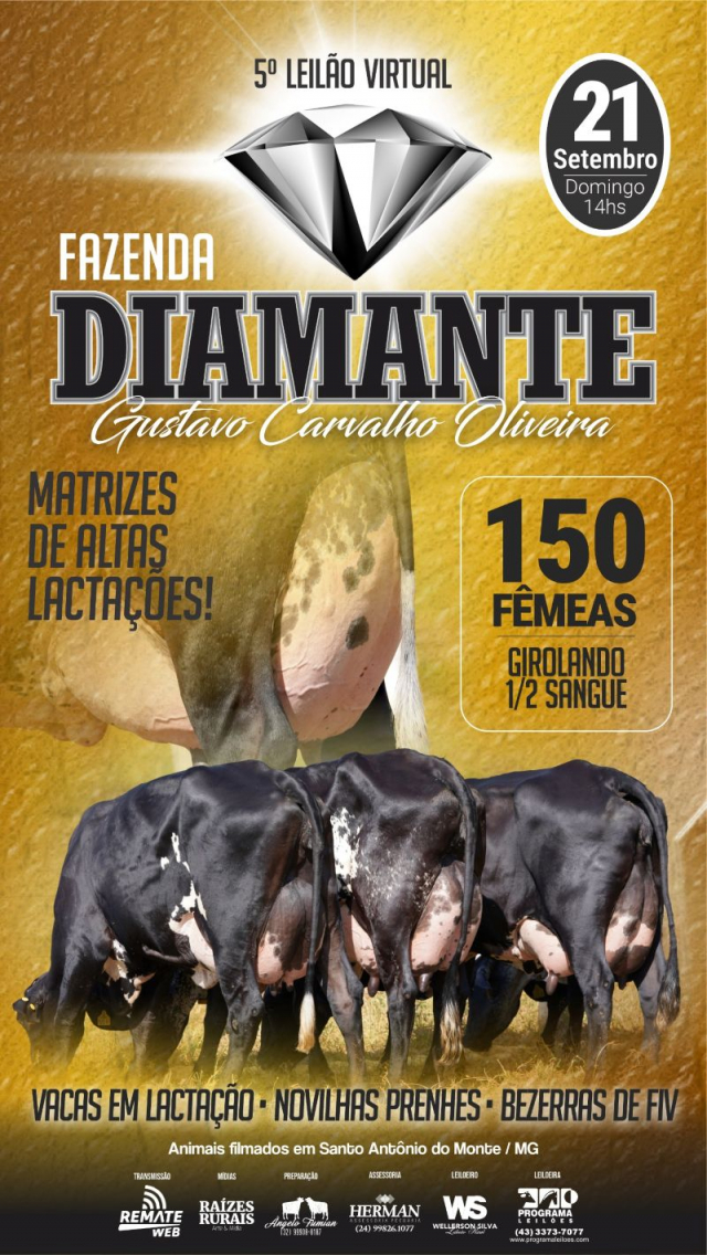 5º Leilão Virtual Fazenda Diamante