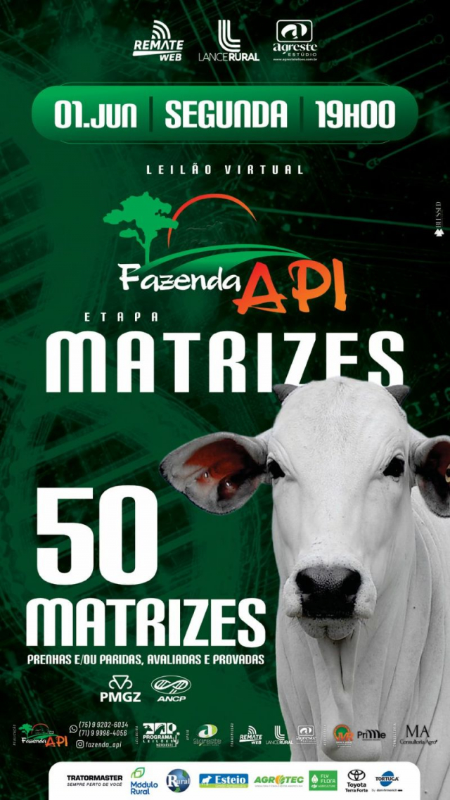 Leilão Virtual Fazenda API - Etapa Matrizes