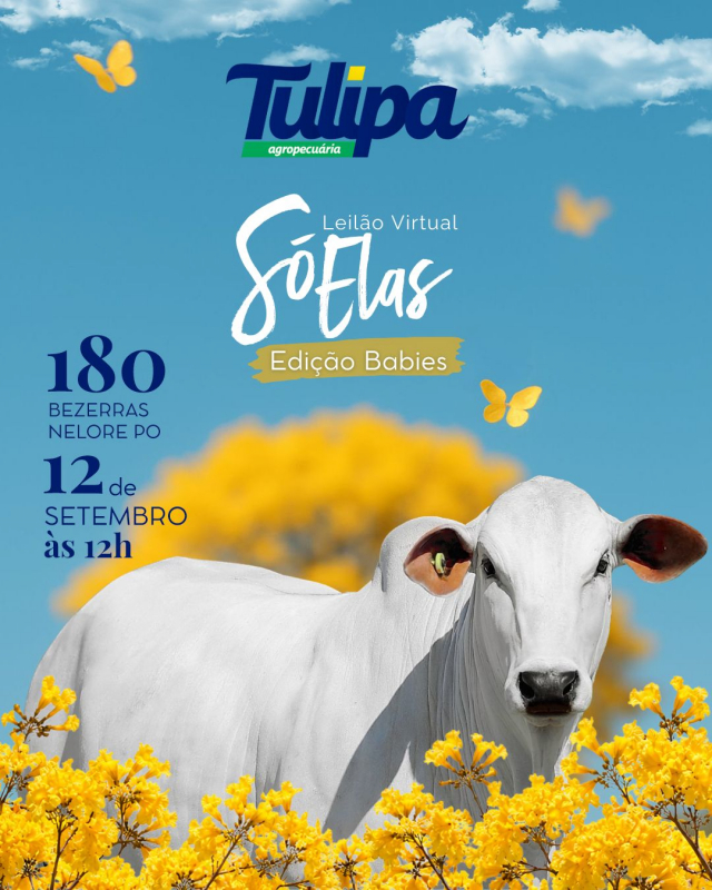 Leilão Virtual Tulipa Agropecuária - Só Elas Babies