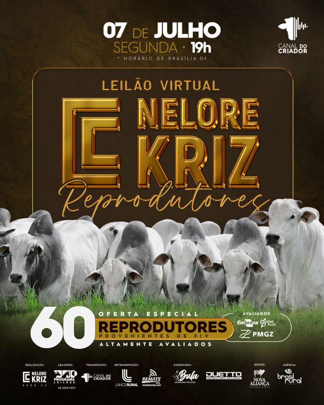 Leilão Virtual Nelore Kriz - Reprodutores