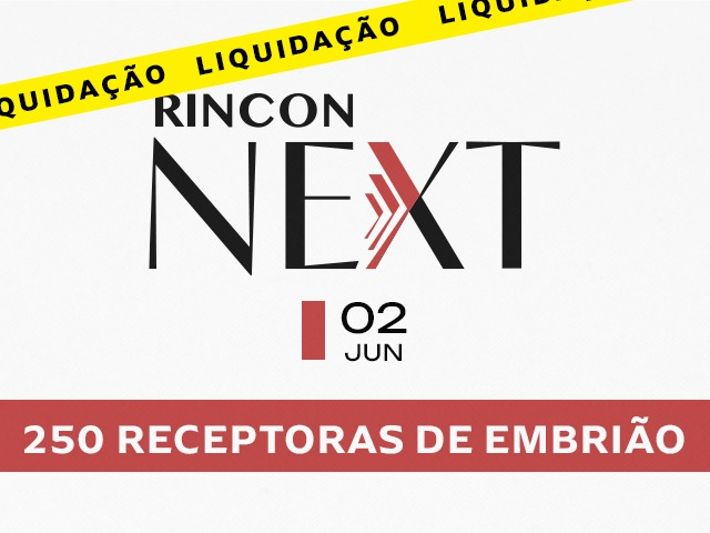 Leilão Virtual Rincon Next
