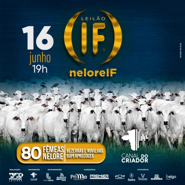 Leilão Virtual Nelore IF - Fêmeas