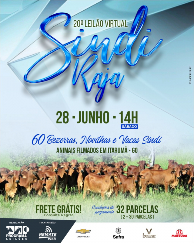 20º Leilão Virtual Sindi Raja