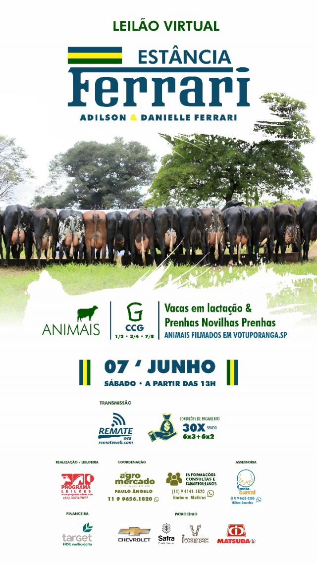 Leilão Virtual Estância Ferrari