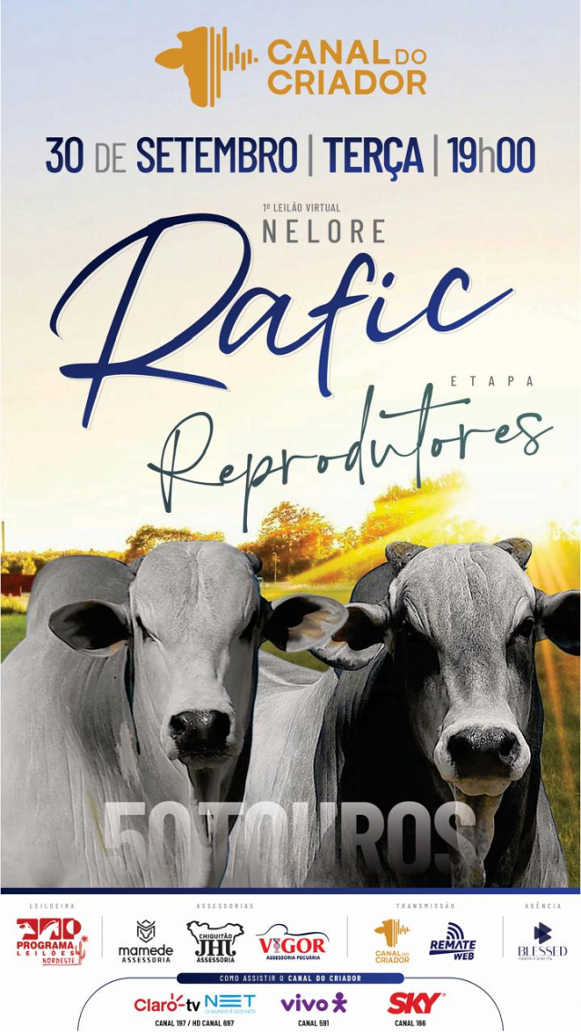 1º Leilão Virtual Nelore Rafic - Reprodutores