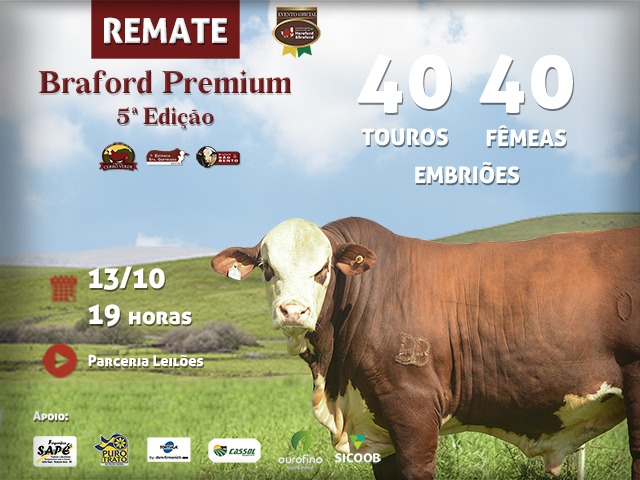 Leilão Virtual Braford Premium - 5ª Edição