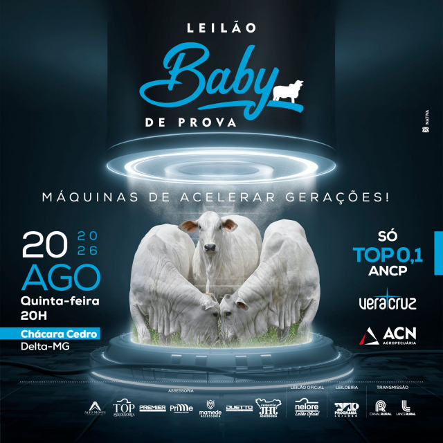Leilão Baby de Prova - Máquinas de Acelerar Gerações