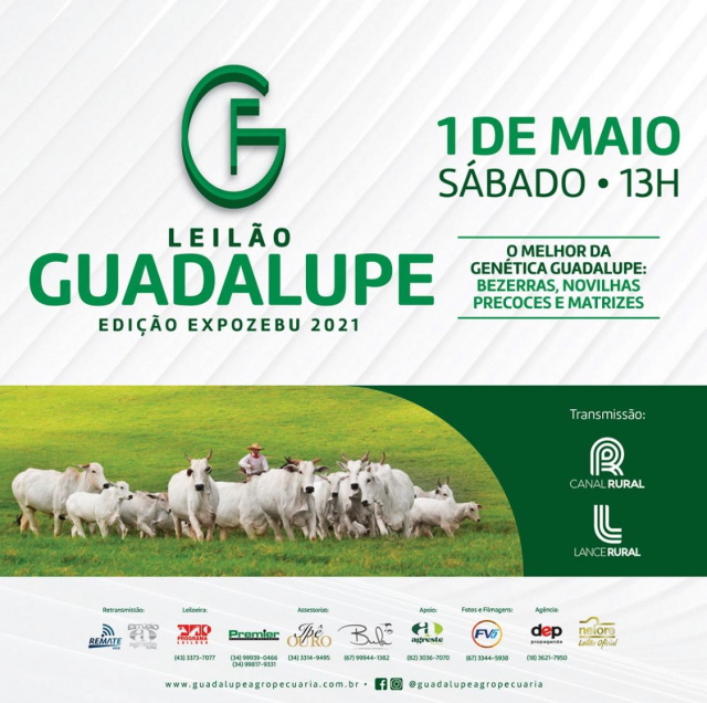 Leilão Guadalupe Edição ExpoZebu 2021