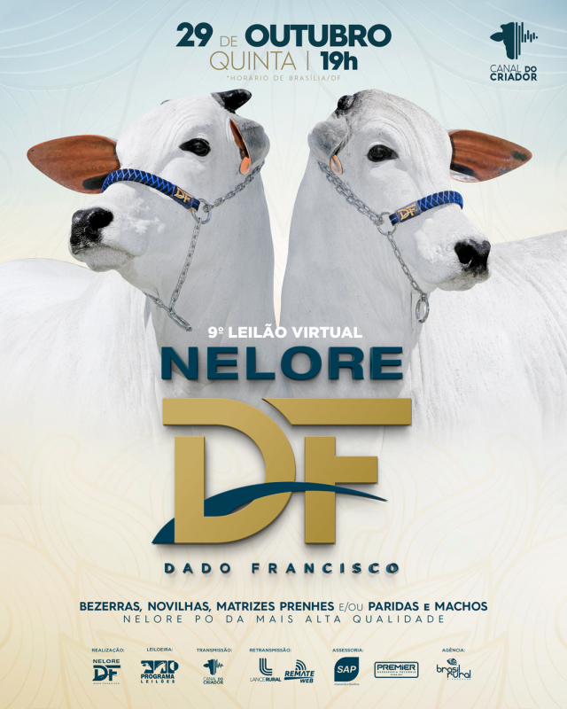 9º Leilão Virtual Nelore DF