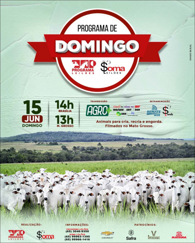 119º Programa de Domingo - Programa e Soma Leilões