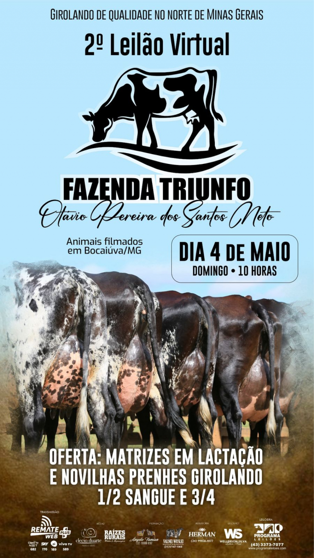 2° Leilão Virtual Fazenda Triunfo