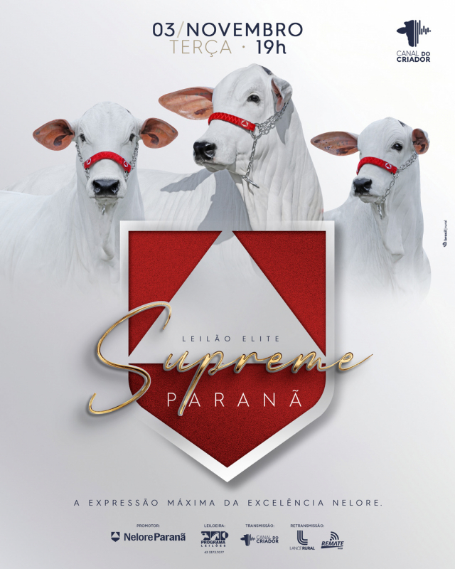 Leilão Elite Supreme Paranã