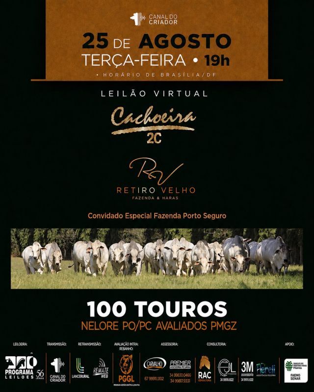 Leilão Virtual Cachoeira 2C & Retiro Velho - 100 Touros