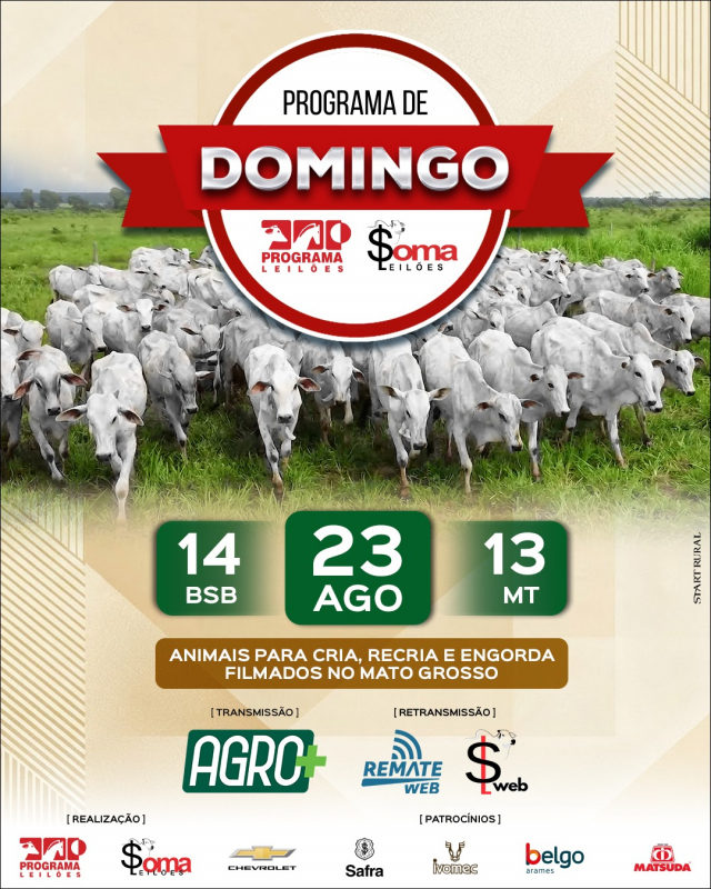 162° Programa de Domingo - Programa e Soma Leilões