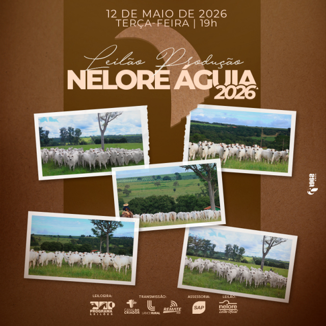 Leilão Virtual Produção Nelore Águias 2026