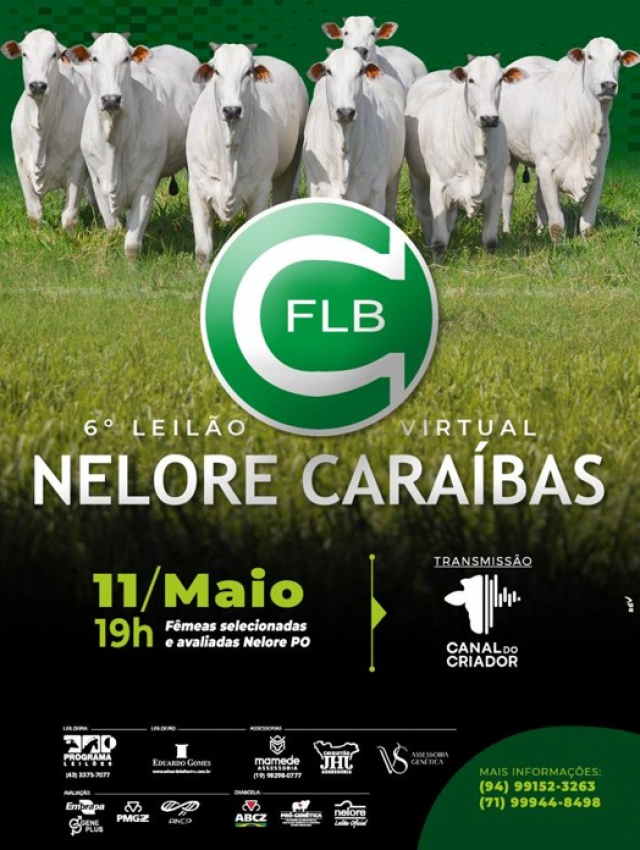 6º Leilão Virtual Nelore Caraíbas