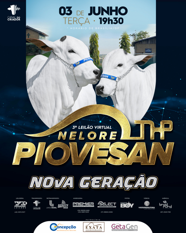 3º Leilão Virtual Nelore Piovesan - Nova Geração