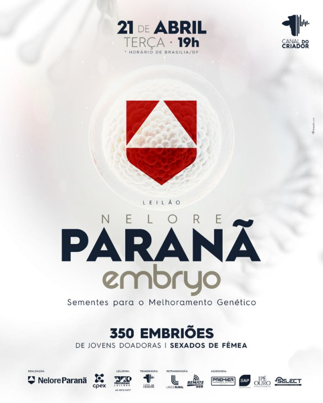 Leilão Nelore Paranã Embryo