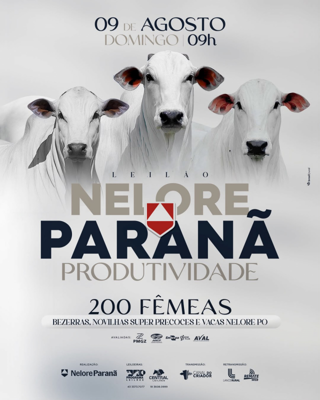 Leilão Nelore Paranã Produtividade