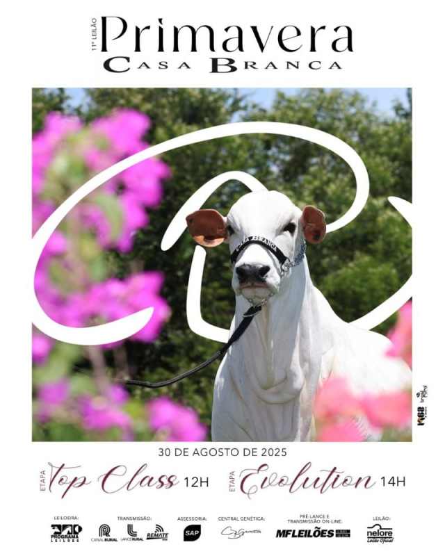 11º Leilão Primavera Casa Branca - Top Class e Evolution