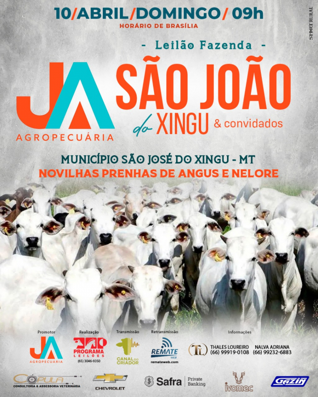 Leilão Fazenda São João do Xingu
