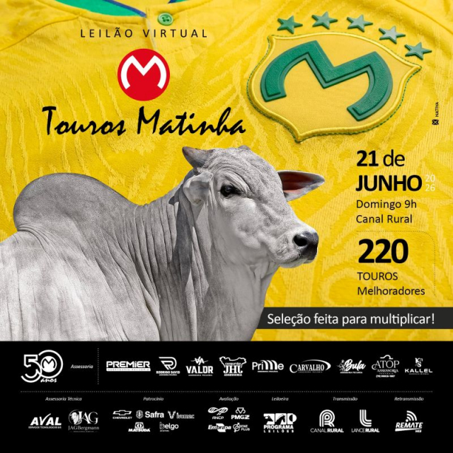 Leilão Virtual Touros Matinha
