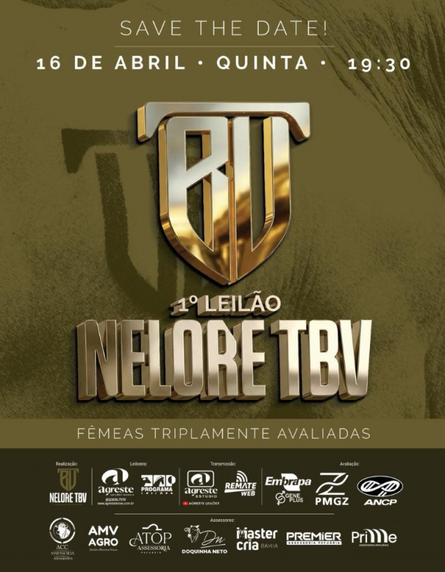 1º Leilão Vitual Nelore TBV