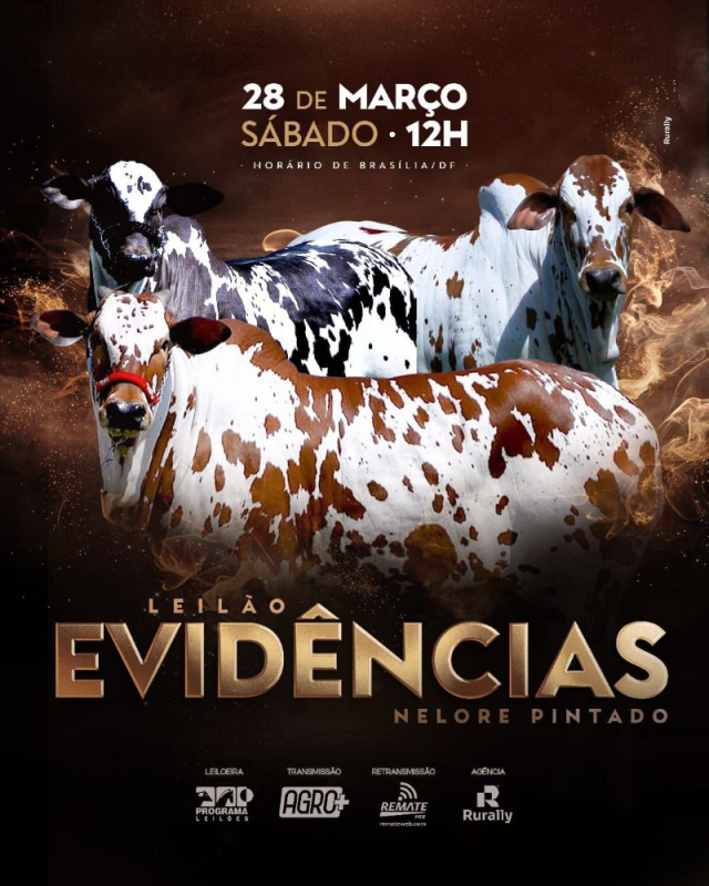 Leilão Virtual Evidências Nelore Pintado