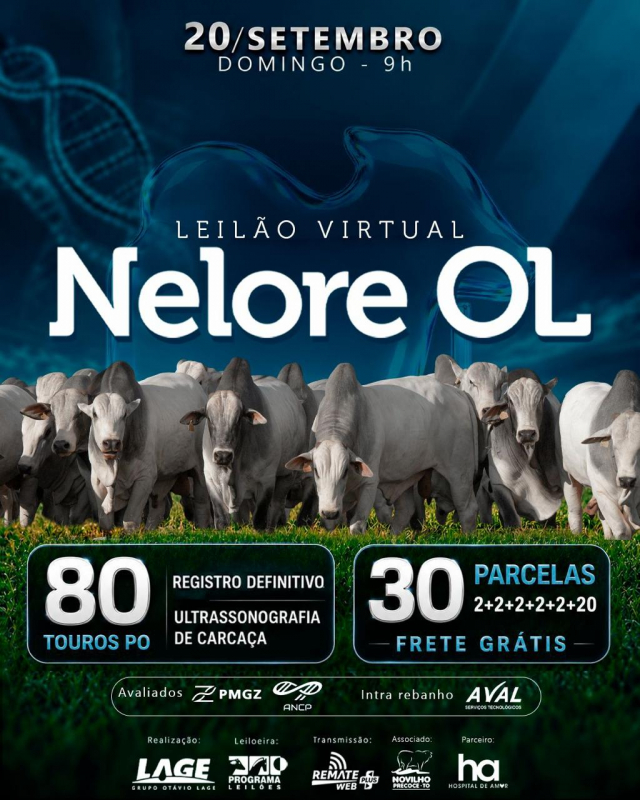 Leilão Virtual Nelore OL