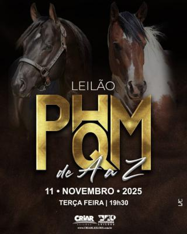 Leilão Virtual PH QM de A a Z