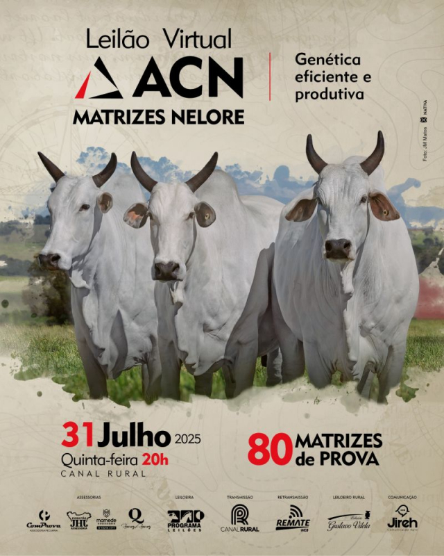 Leilão Virtual ACN - Matrizes Nelore