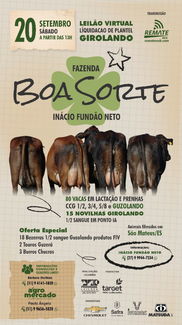 Leilão Virtual Liquidação de Plantel Girolando Fazenda Boa Sorte