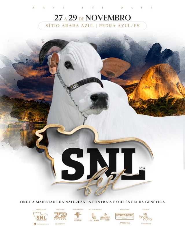 Leilão SNL Fest 2026.