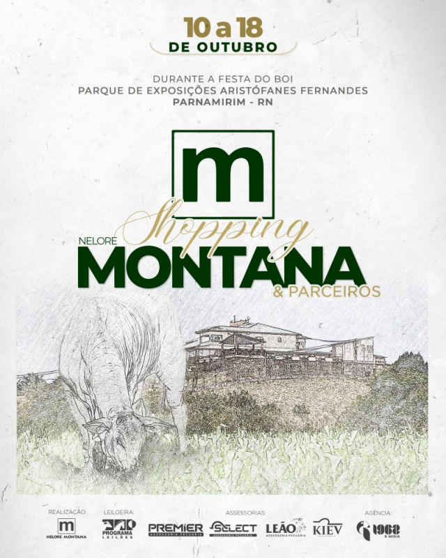 Shopping Nelore Montana e Parceiros