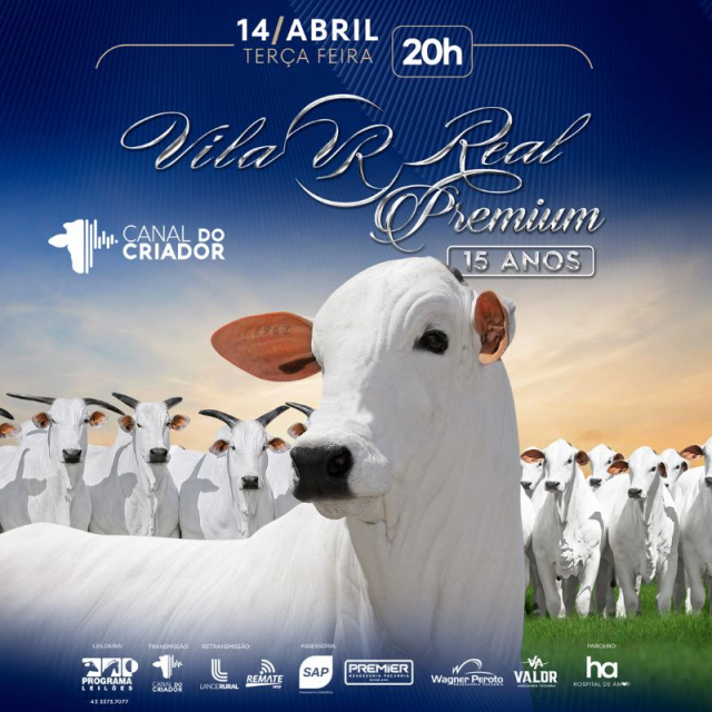 Leilão Virtual Vila Real Premium 15 anos