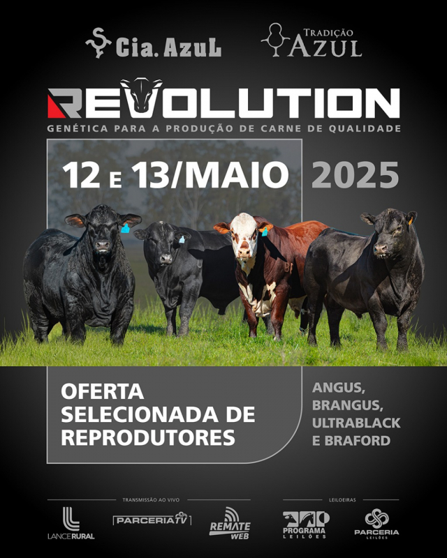 Leilão Virtual Revolution - Touros