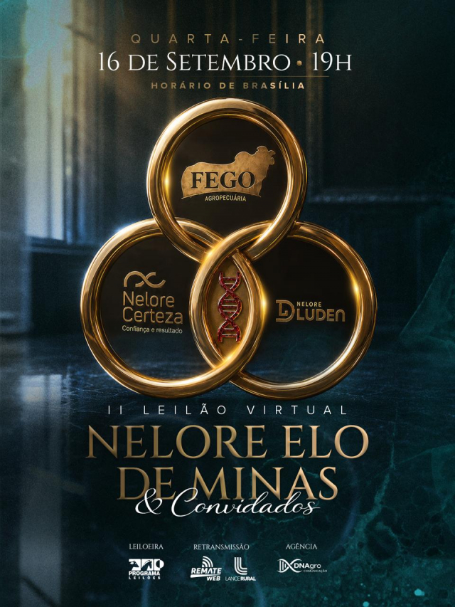 Leilão Virtual Nelore Elo de Minas & Convidados