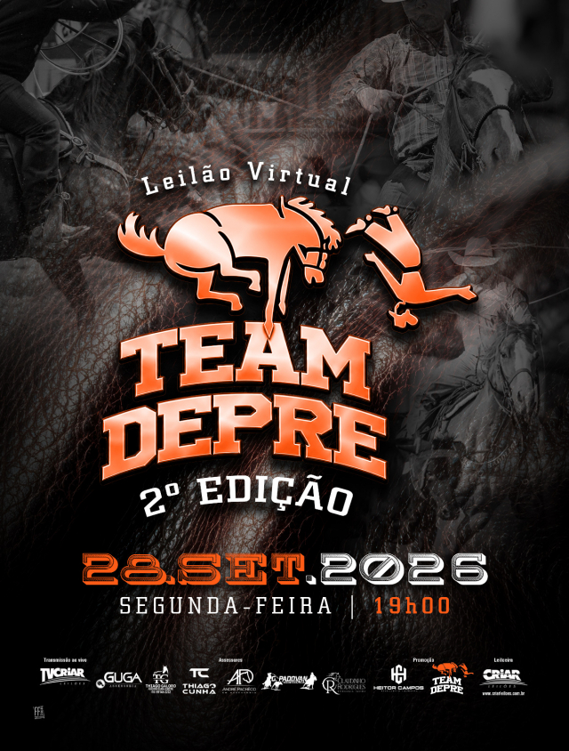 2° Leilão Virtual Team Depre