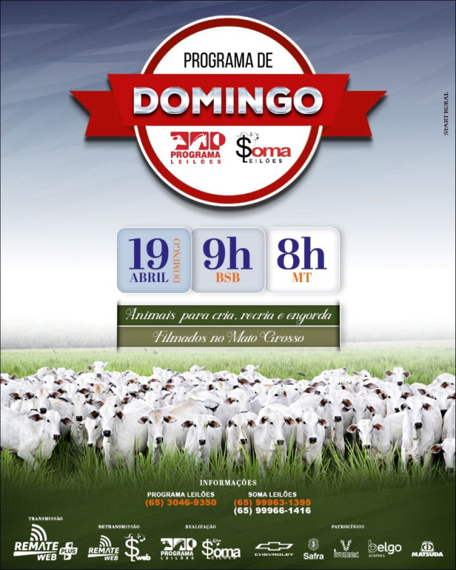 149° Programa de Domingo - Programa e Soma Leilões