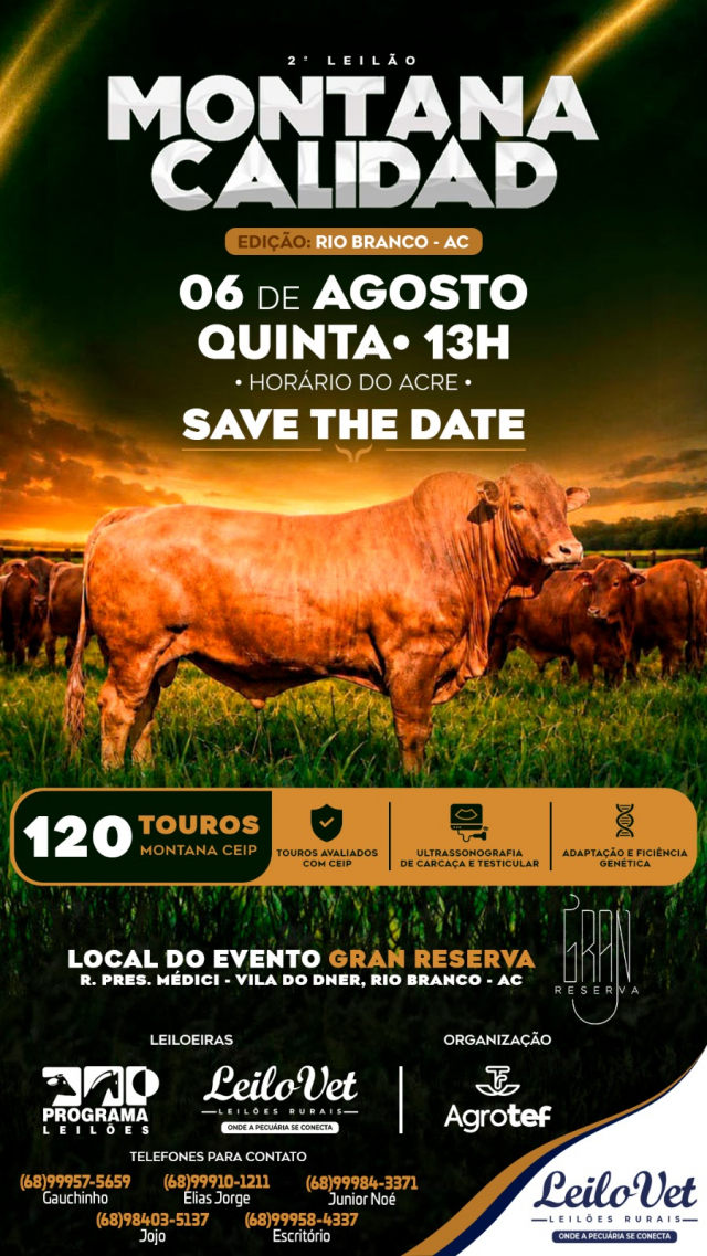 2º Leilão Montana Calidad