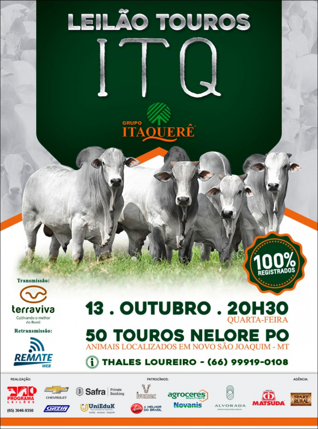 Virtual Touros ITQ - Grupo Itaquerê
