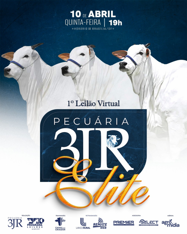 Leilão Virtual Nelore 3JR - Elite