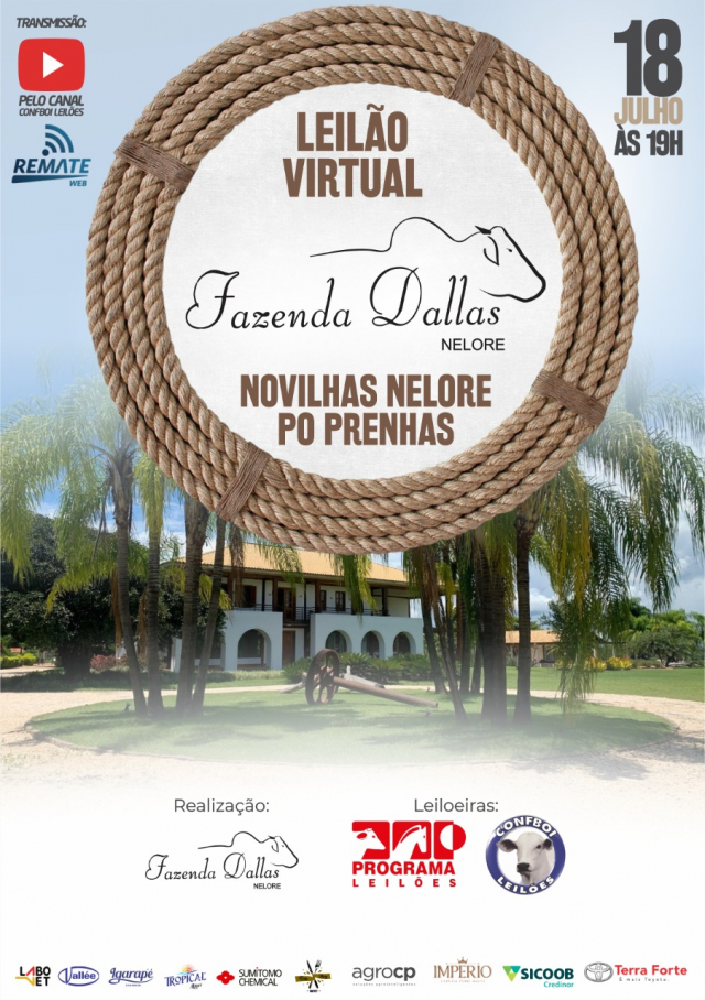 Leilão Virtual Fazenda Dallas