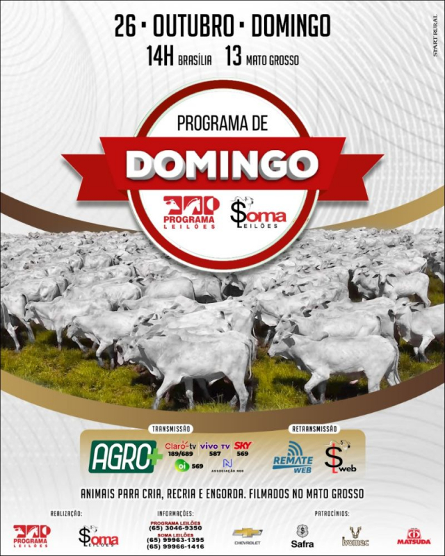 131º Programa de Domingo - Progama e Soma Leilões